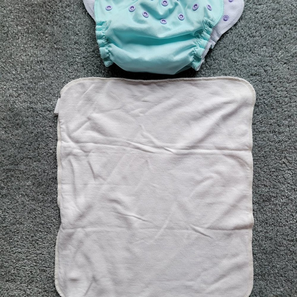 AppleCheeks Cloth Diaper - Picture 3 of 3